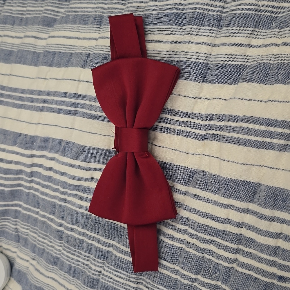 Platinum Hanger Bow Tie